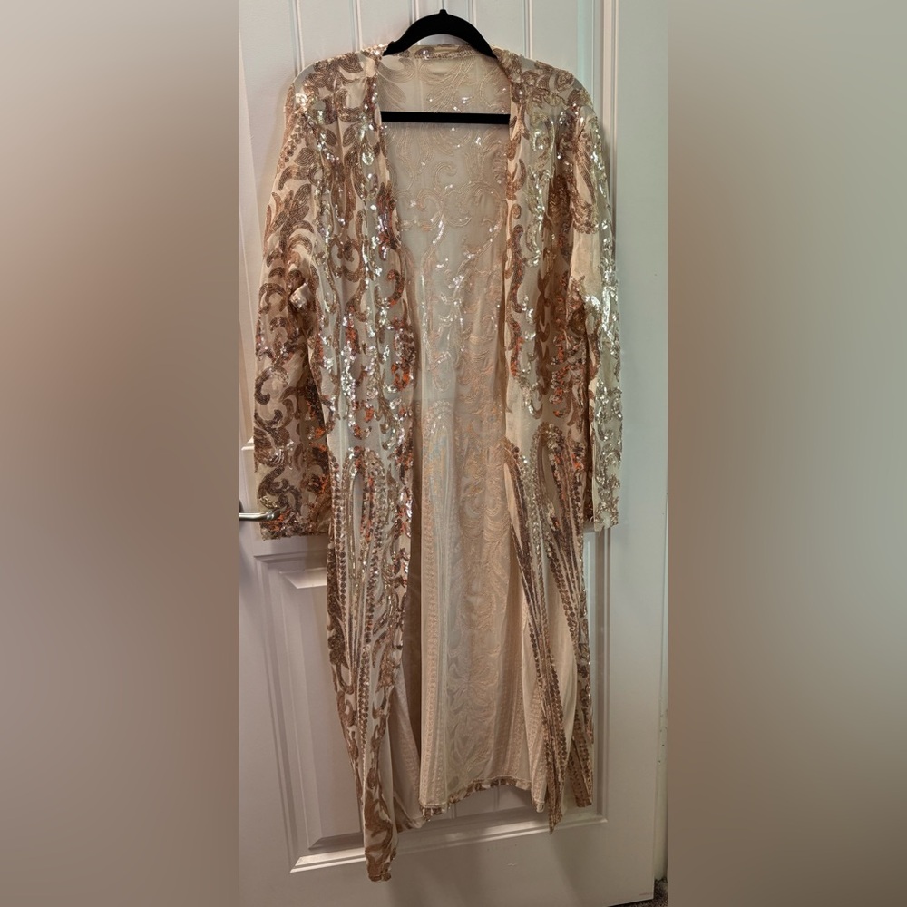 Sequin Embellished Long Sleeve Dress